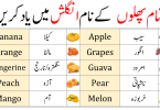 Learn common vocabulary for Fruits Names in English with Urdu Meanings to help you communicate English in everyday situations. All fruit names have a common English vocabulary that will help you speak English fluently in an English conversation. Learning vocabulary is a lot of fun because it helps you improve your English. It is difficult to speak English without learning English vocabulary.
