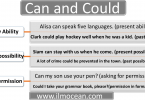 how to use can and could