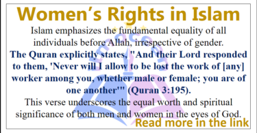 Women Rights in Islam essay